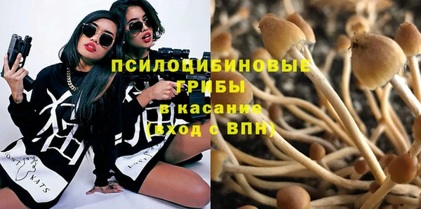 MDMA Premium VHQ Аркадак