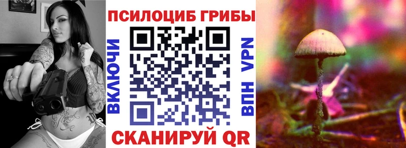 ОМГ ОМГ как войти  Пустошка  Псилоцибиновые грибы мицелий 